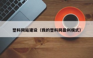 祁阳塑料网站建设（我的塑料网盈利模式）
