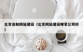 祁阳北京自制网站建设（北京网站建设哪家公司好）